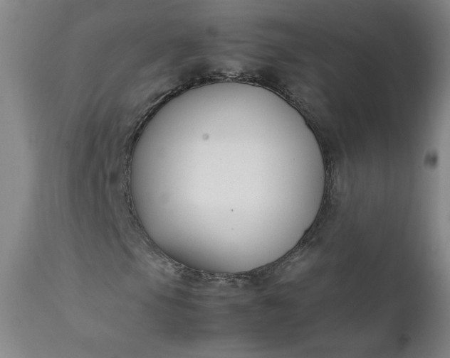 X0000112211105200908211512