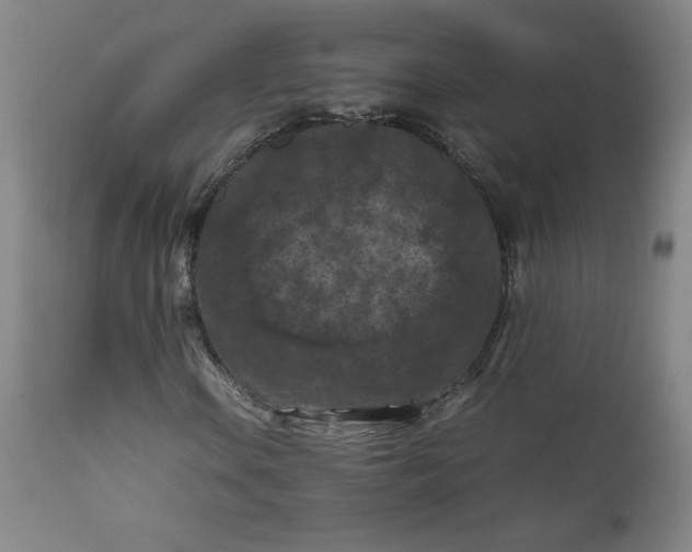 X0000112211106200908211512