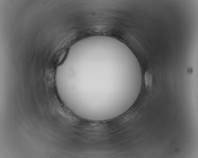 X0000112211107200908211512