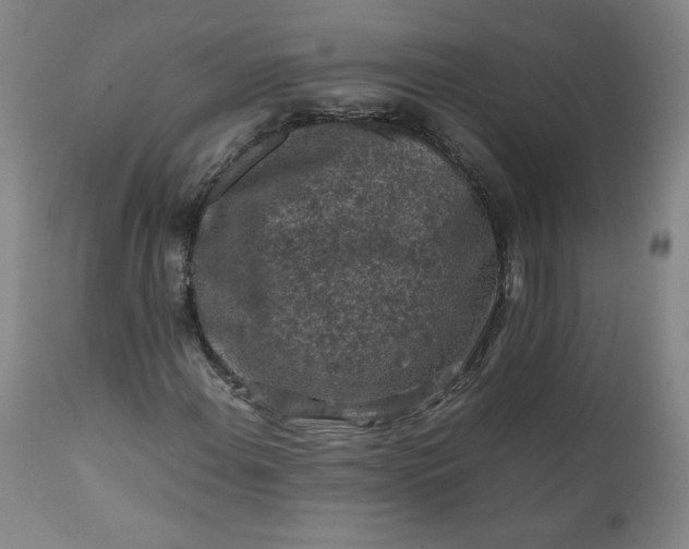 X0000112211108200908211512