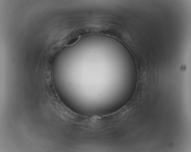 X0000112211109200908211512