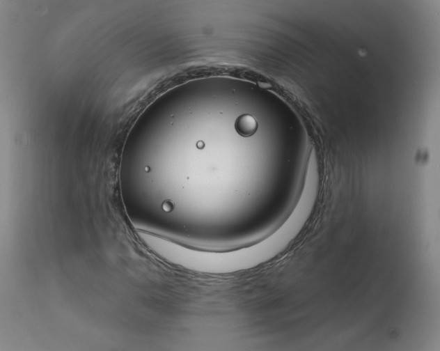 X0000112211110200908211512