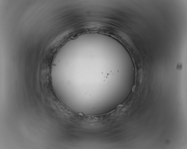 X0000112211111200908211512