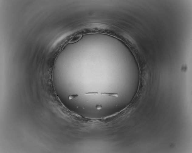 X0000112211112200908211512