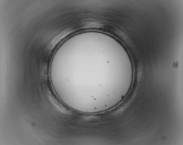 X0000112211113200908211512