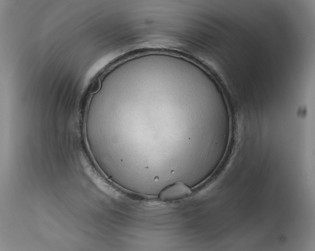 X0000112211114200908211512