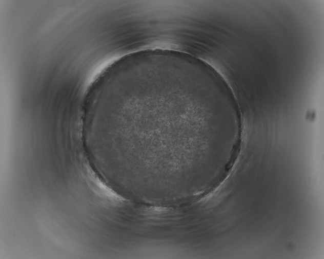 X0000112211115200908211512