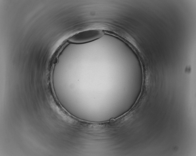 X0000112211116200908211512