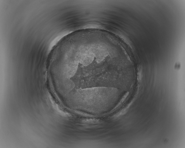 X0000112211117200908211512