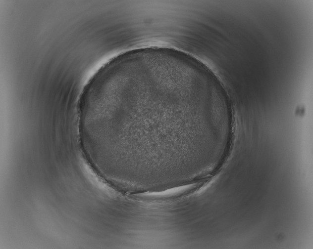 X0000112211118200908211512