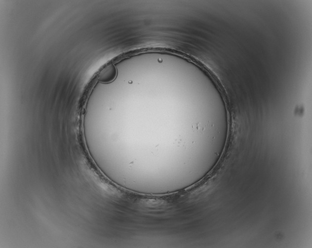 X0000112211119200908211512