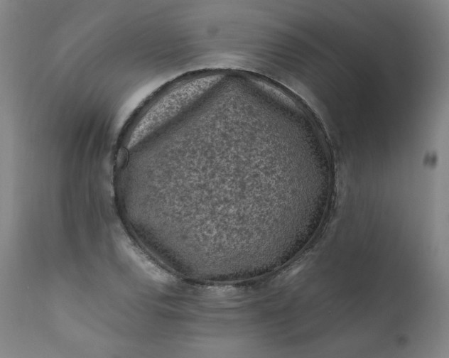 X0000112211120200908211512