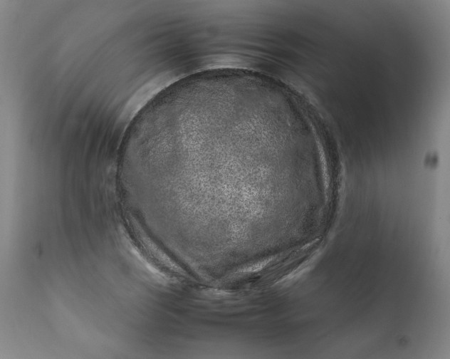 X0000112211121200908211512