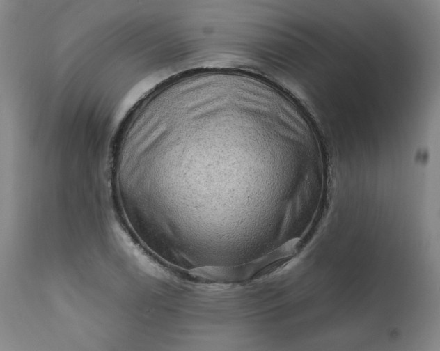 X0000112211122200908211512