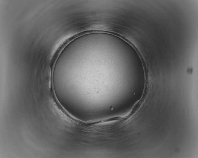 X0000112211123200908211512