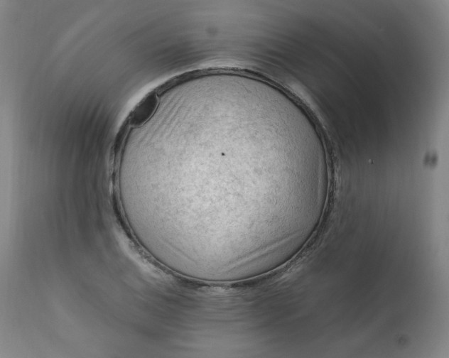 X0000112211124200908211512