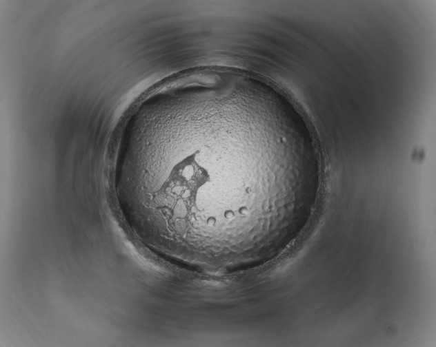 X0000112211125200908211512