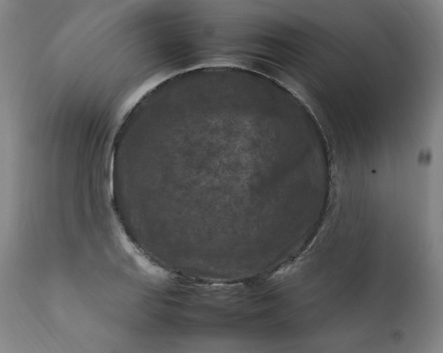 X0000112211127200908211512