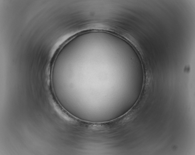 X0000112211128200908211512