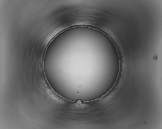 X0000112211129200908211512