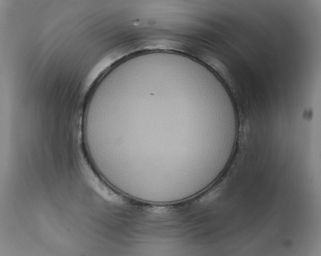 X0000112211130200908211512