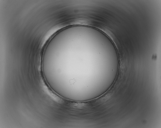 X0000112211131200908211512