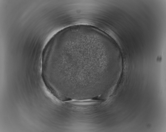 X0000112211132200908211512