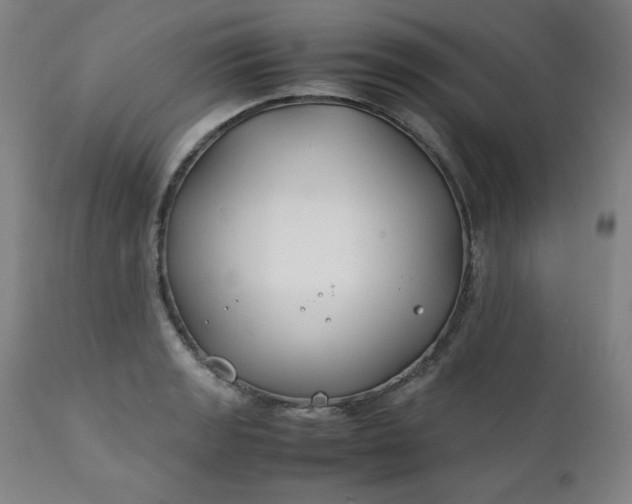 X0000112211133200908211512