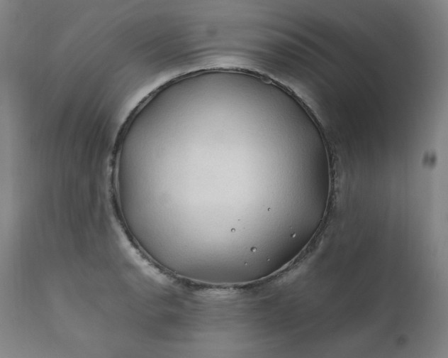 X0000112211134200908211512