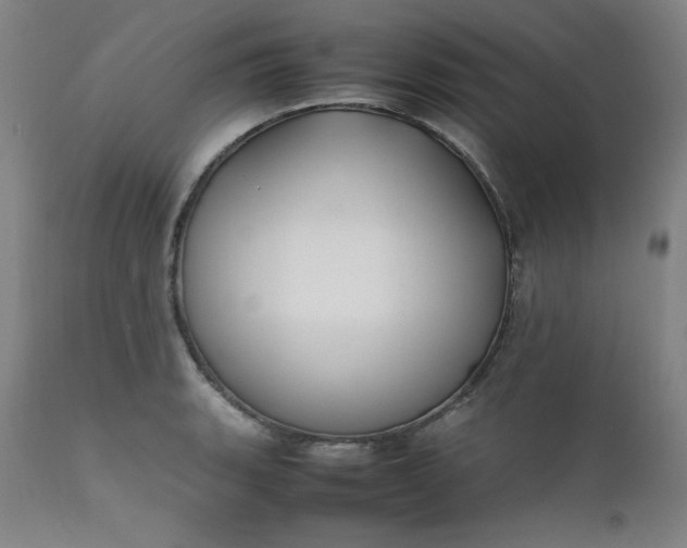 X0000112211135200908211512