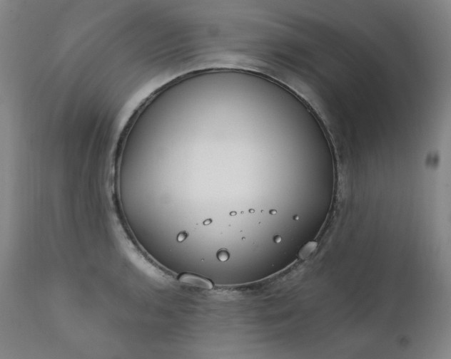 X0000112211136200908211512