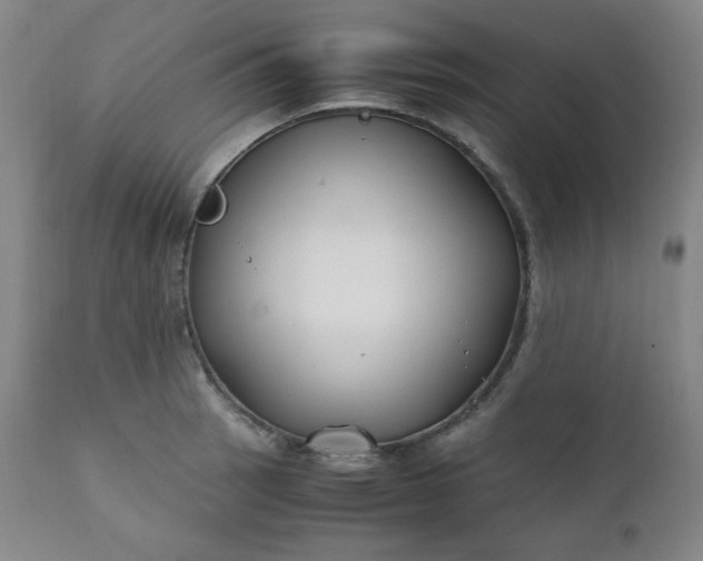 X0000112211137200908211512