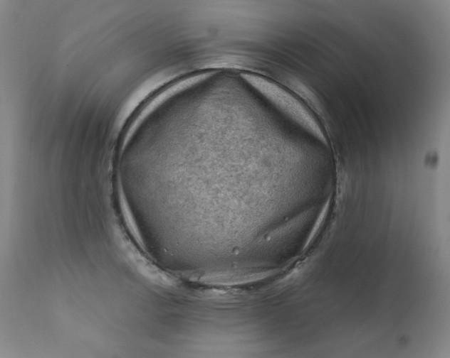 X0000112211138200908211512