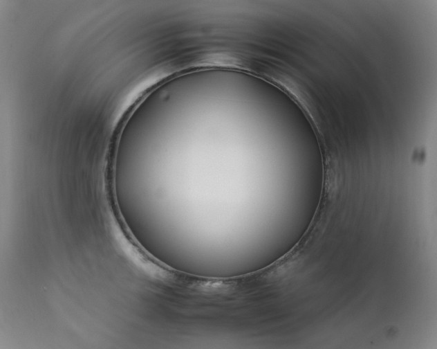 X0000112211139200908211512