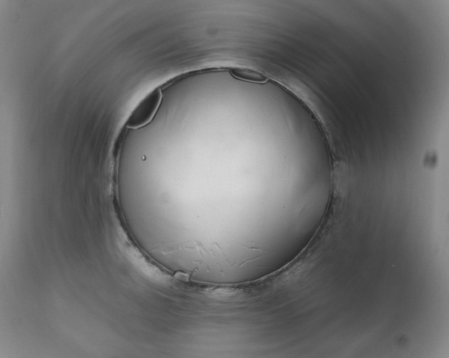 X0000112211140200908211512