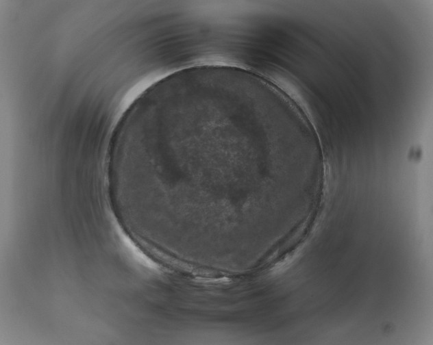 X0000112211141200908211512