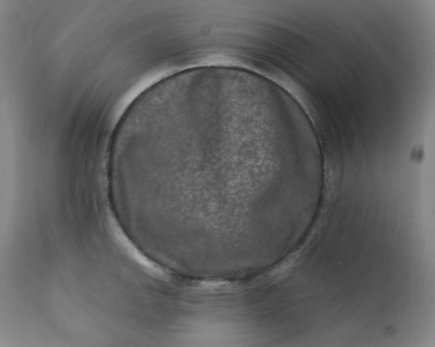 X0000112211142200908211512