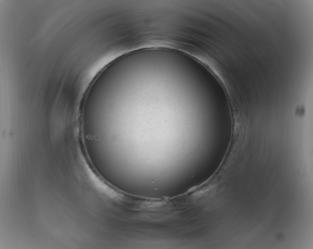 X0000112211143200908211512