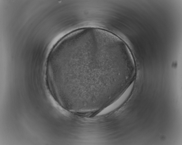 X0000112211144200908211512