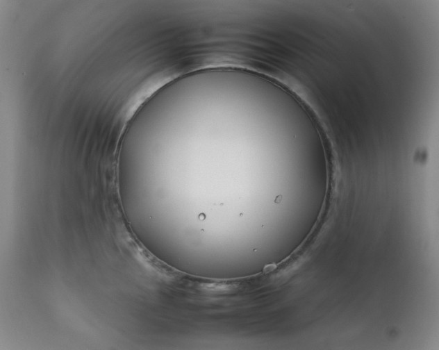 X0000112211145200908211512