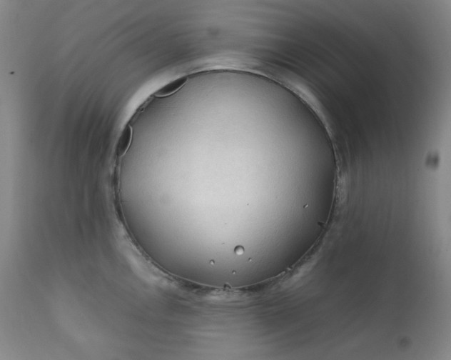 X0000112211146200908211512