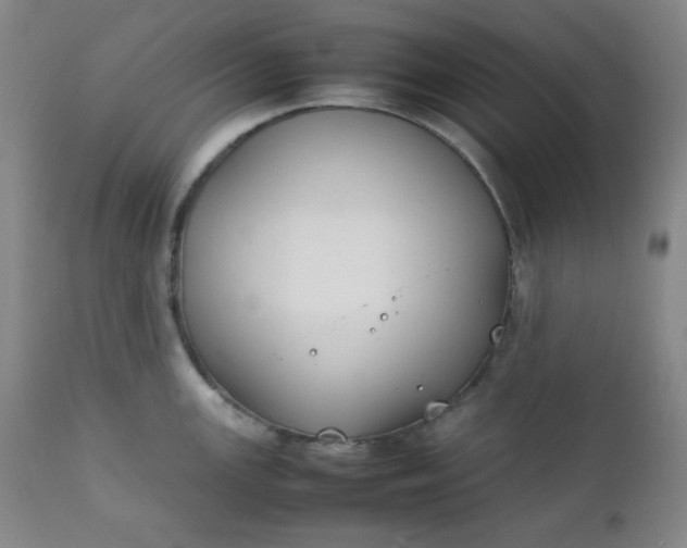 X0000112211147200908211512