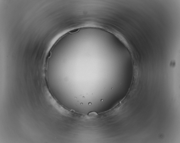 X0000112211148200908211512