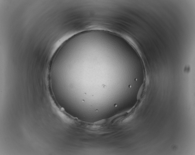 X0000112211149200908211512