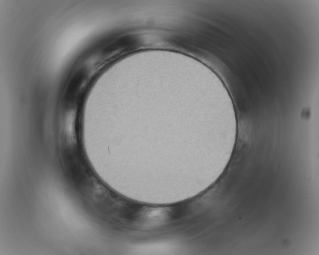 X0000112211150200908211512