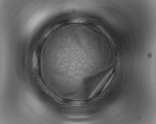 X0000112211151200908211512