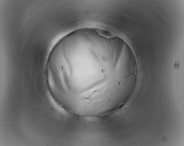 X0000112211152200908211512