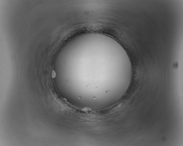 X0000112211153200908211511