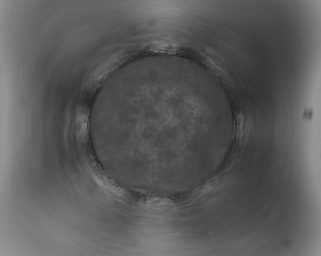 X0000112211154200908211511