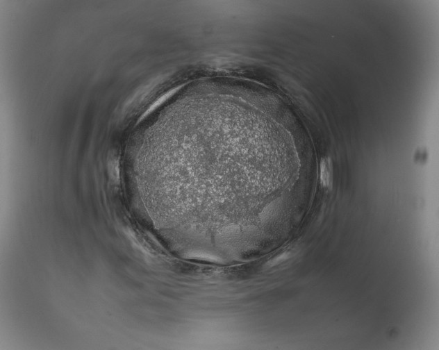 X0000112211155200908211511